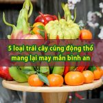 5 loại trái cây cúng xây nhà mang lại may mắn bình an