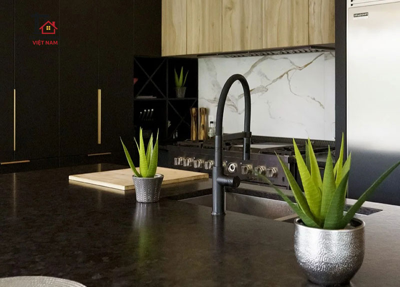 Trông cây Lô họi trong phòng bếp rất hợp phong thuỷ