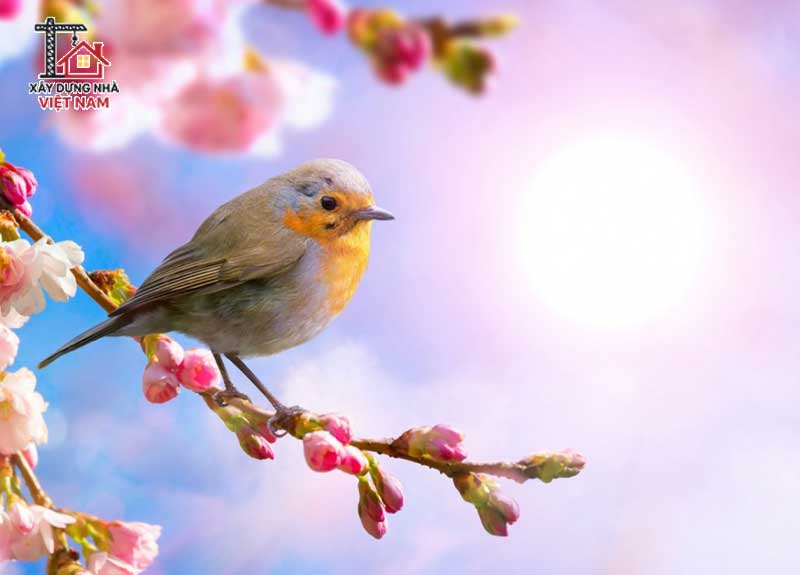 Vì sao ở miền Bắc thường khởi công xây nhà vào mùa xuân? 1 Mùa xuân là thời điểm vượng khí nhất trong năm