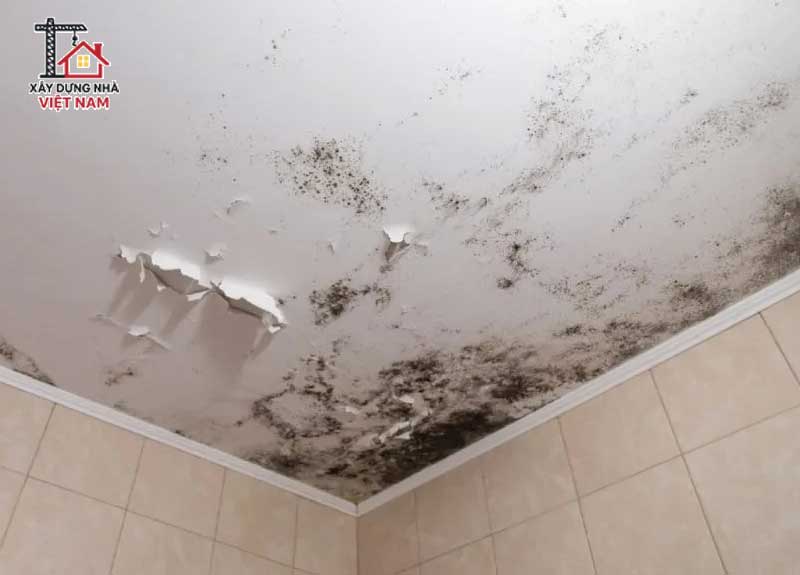 Không làm chống thấm nhà vệ sinh tốt